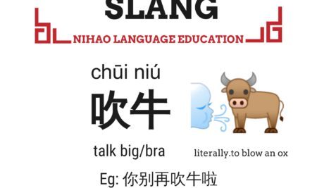 Chinese Slang-Blow an Ox