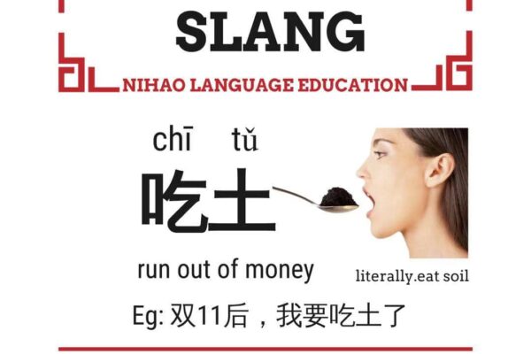 Chinese slang eat soil